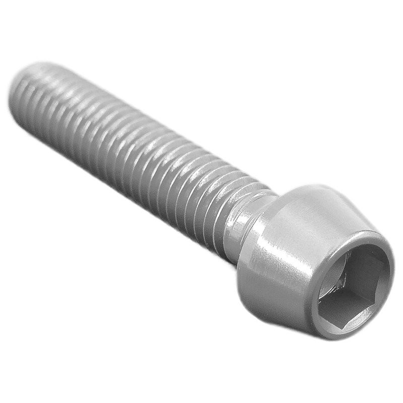 Vite Esagono Inc. Erg. Cl 001 M6 L. 95 Silver 001M6095SIL Lightech